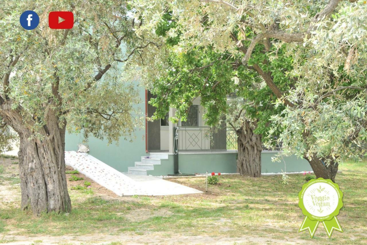 Villa "Elaeda Evdokia" Prínos Exterior foto